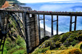 Big Sur Beauty