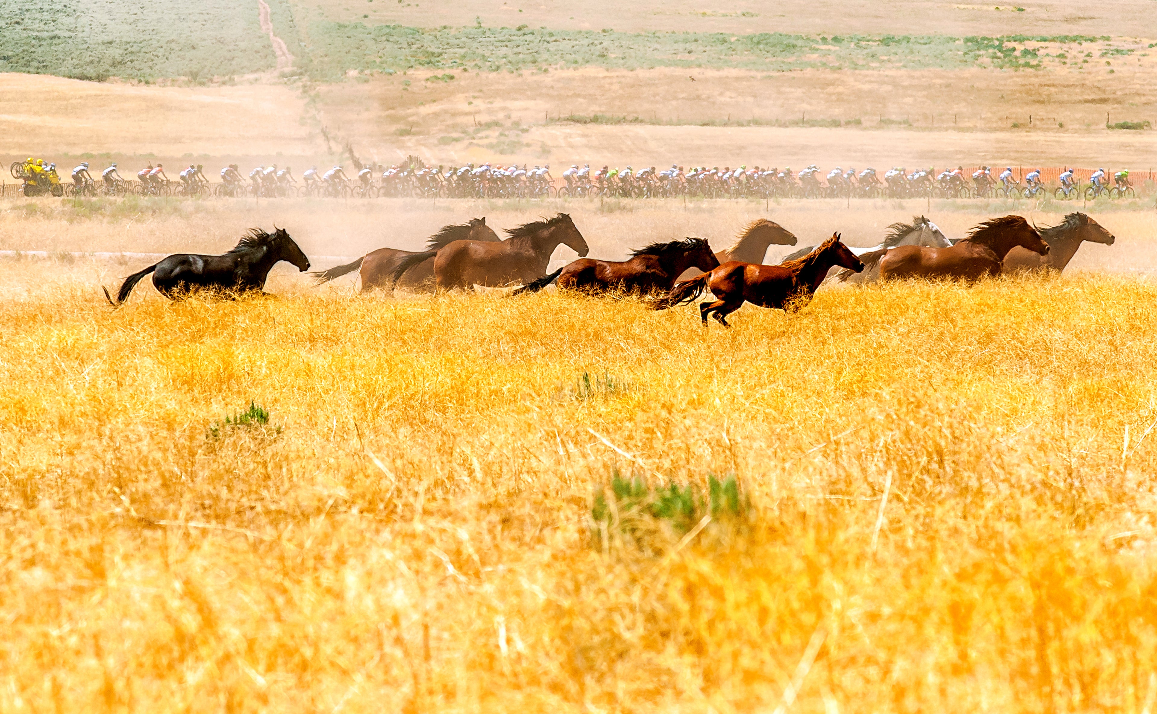 Horsepower