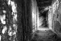 Stillness Between
